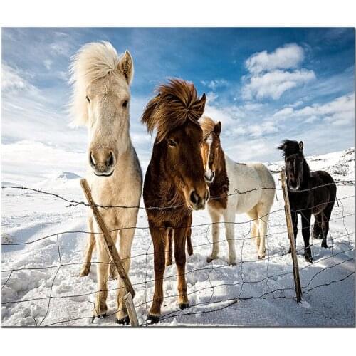 Full square round drill 5D diy diamond painting horse cubs Icelandic diamond embroidery pattern cross stitch mosaic home decor