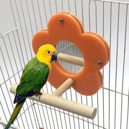 Bird Perch Creative Bird Stand Perch Bird Cage Toy with Flower Mirror Birds Playing Toy for Parrot
