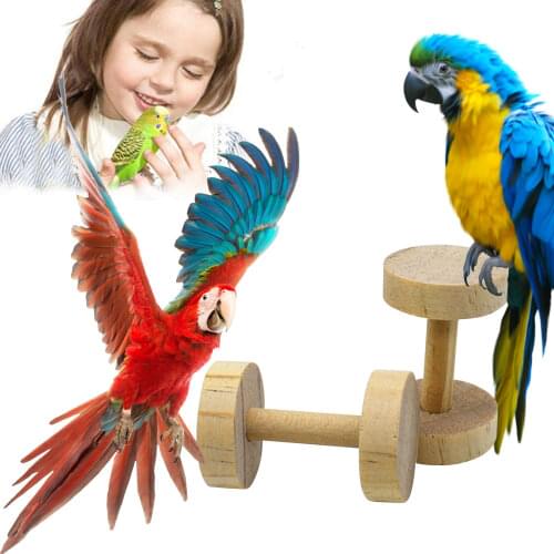 Parrots Toys And Bird Accessories For Pet Bird Toy Pine Dumbbell Biting Parrots Intellectual Toyes Birds Pets Parrots Climbing