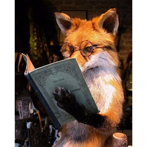 Diamond Embroidery 5D DIY Diamond Painting The fox is reading a book Diamond Painting Cross Stitch Rhinestone Mosaic