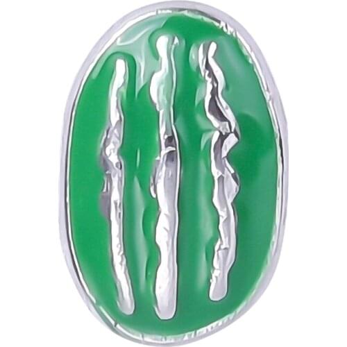 F121 Wholesale 20pcs/lot Hot Sales Floating Watermelon Charms Fit Floating Charm Locket For Lady Free Shipping LC049