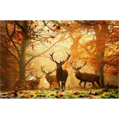 5D Deer Print Diamond Pictures Room Diamond Pictures Bedroom Wall Decor for Kids Children Adults DIY Supplies