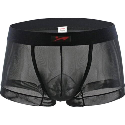 Sexy Men Underwear Transparent Mesh Boxers Shorts Man Breathable Low-waist U Convex Pouch Underpants Cueca ropa interior hombre