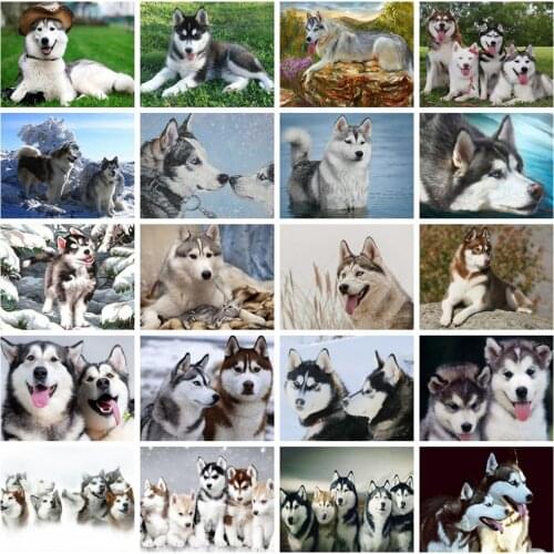 Huacan Diamond Painting Full Drill Dog Mosaic Animal Farmhouse Home Decor Embroidery Husky Diamond Art