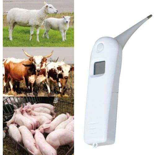 Veterinary Thermometer Fast Thermometer Gives Accurate Temps Beeps Indication Auto Turn Off for Dog Cat Horse Pig Pet