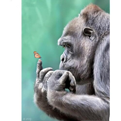 Full Square/Round Drill 5D DIY New Diamond Painting "Animal Monkey" Rhinestone Embroidery Cross Stitch 5D Home Decor