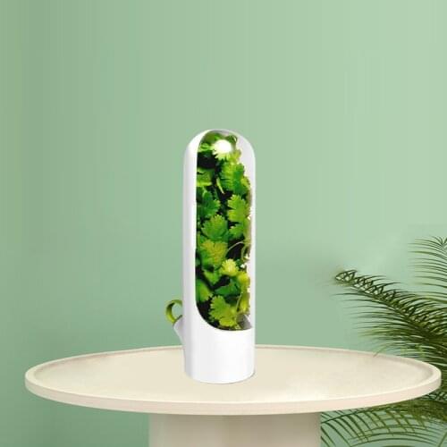 1pcs Premium Herb Keeper And Herb Storage Container,Keeps Greens And Vegetables Fresh For Kitchen Storage Utensils Storage Box