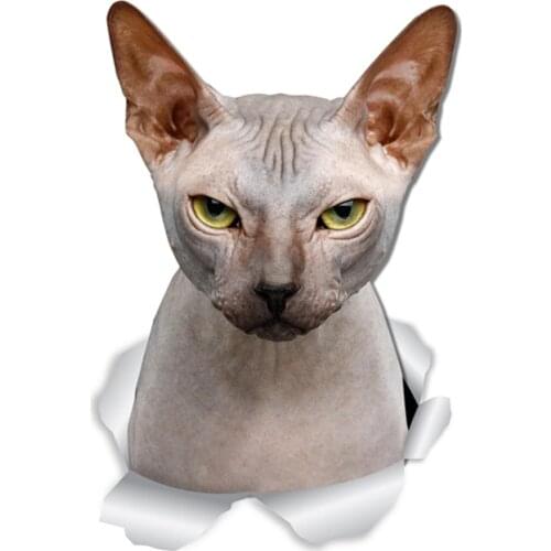 A0538#13cm/17cm Removable Decal Angry Sphynx Cat Car Sticker Waterproof Accessories on Bumper Rear Window