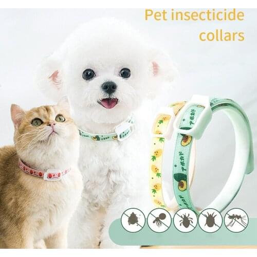 Summer Cat Dog Anti Flea Collar Outdoor Adjustable Cute Pet Collar 6 Month Flea Tick Collar Small Medium Dogs Pets Accessories