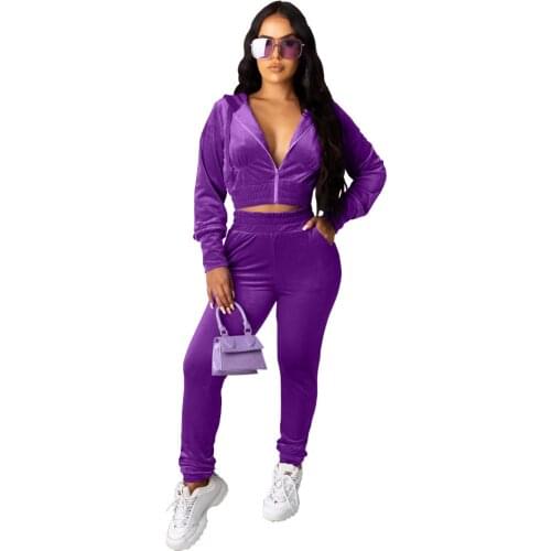 Velvet Two Piece Set Women Festival Clothing Long Sleeve Hooded Crop Top And Elastic Waist Long Pants Velour Tracksuits Women