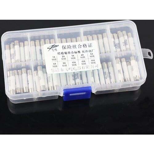 100pcs Ceramic Fuse 5mm x 25mm Slow Blow T 1A 2A 3A 4A 5A 6A 8A 10A 15A 16A 250V