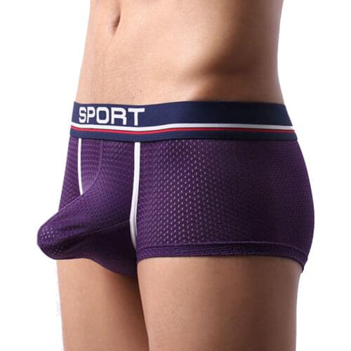 Man Sexy U Convex Boxer Ice Silk Mesh Underwear Elephant Nose Pouch Boxer Breathable Male Funny Shorts Panties Penis Separated