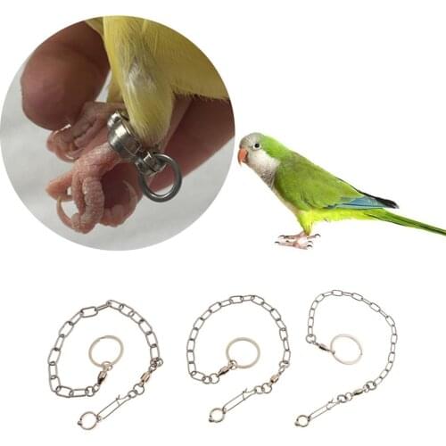 2 Pcs Pet Bird Leash Parrot Foot Chain Stainless Steel Anklet Ring 2020 New Parrot Foot Rings With Universal Wheel Do Not Knot