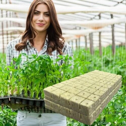 50pcs Sheet Block Propagation Cloning Seeds Raising Soilless Cultivation Hydroponic 25/30/40MM