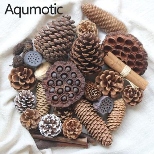 Aqumotic Dried Lotus Mixed Pine Cone Decoration Dry Lotus Natural Dried Flowers Mori Branches Manual Diy Material Package