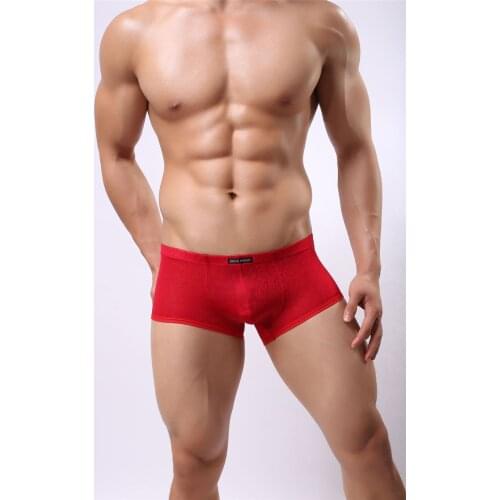 Brand Boxer shorts Nylon Lace Mens gay Boxer Shorts U convex Pouch Sexy Transparent Underwear Men Boxers Slip Thin Cool Boxers