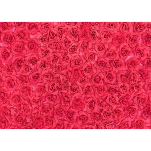 Red rose wall hot photos background children photos life photos background photography background