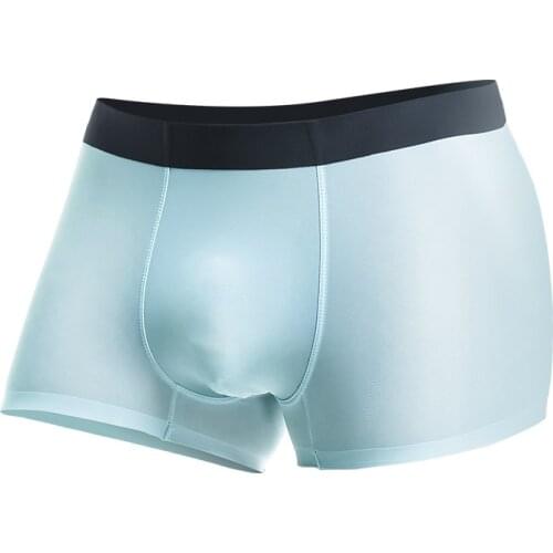 Mens Boxers Sexy Gay Underwear Cueca Transparent Ice Silk Underpants Male Solid Seamless Pouch Panties For Man Penis Plus Size