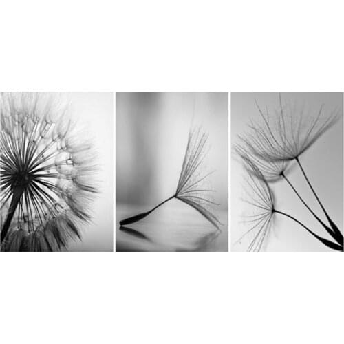 Dandelion Diamond Painting Cross Stitch Diamond Mosaic Handicrafts Diamond Art Embroidery Kit Flowers Black and White Home Decor