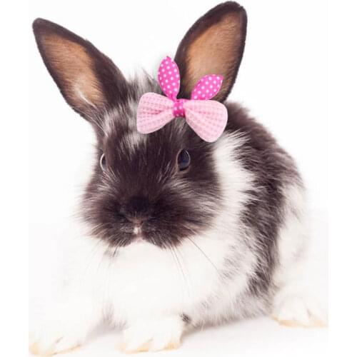 Pet rabbit supplies clothing decoration Dutch pig guinea pig Princess rabbit drooping ear rabbit bow head flower decoration