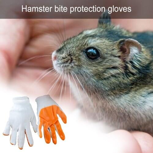 Small Pets Bite-proof Gloves Smash-proof Hand Protection Gloves Anti Bite From Hamster Rabbit Chinchillas Guinea Pig Accessories