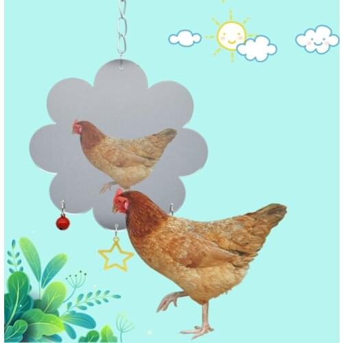 Chicken Toy Hanging Chicken Mirror Toy with Bell Parrot Pecking Toy for Coop Pet Bird Toy for macaw Parakeet Cockatiels