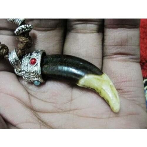 16 pcs Vintage Pendant Tribal Wolf Tooth Tibetan Beads Jewelry