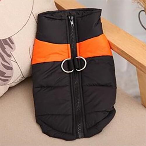 Pet horse jacket autumn and winter pet clothes warm, fashionable, various colors, lovely personality, dirt resistant