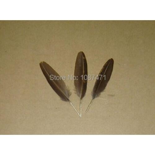 50pcs 4-7cm real natural rare mini pheasant sword feather plume for headwear jewelry accessories making bulk sale