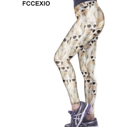 FCCEXIO Women Printed Pants Cute Puppy Dogs High Elastic Fashion Sposting Women High Elastic Leggings Trousers Leggins Fitness