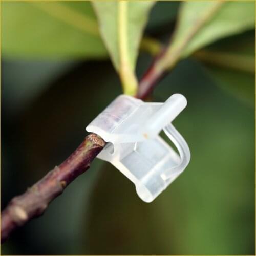 100pcs! Special plant grafting clip Plastic Connecting Parts Arts Grafted Nursery Accessories home agriculture tools