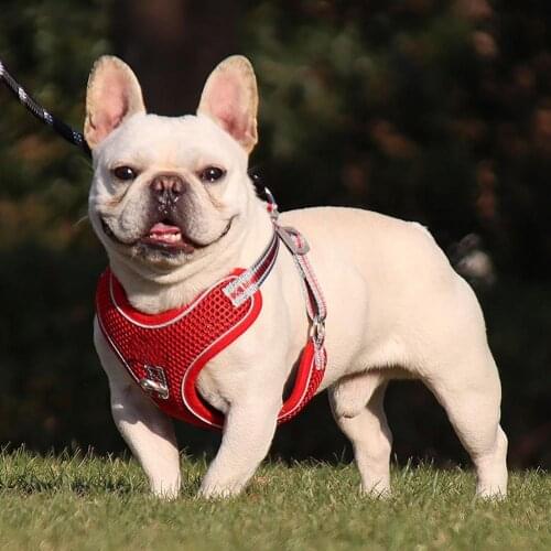 Chest Strap Reflective Explosion Proof Polyester Pet Dog Traction Rope for Walking ошейник для собак