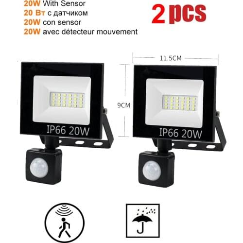 2 pcs 220V 10-100W LED FloodLight Spotlight Exterior Street wall reflector LED Lamp Human Body Induction Light Dimmable Garden Y