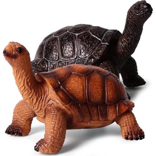 2 Kinds Tortoises Animal Figure Collectible Toys Sea Animal Cognition Action Figures Kids Plastic Model Toys