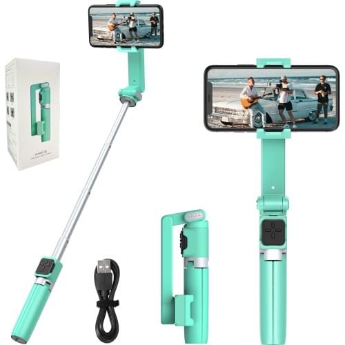 CARBIG Selfie Sticks