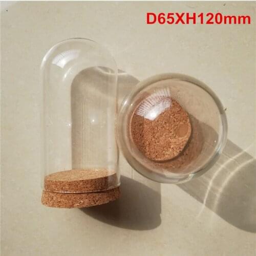24 X Empty Clear Glass Cloche Bell Jar Display Case With Round Cork Base For Wedding DIY D65XH120mm