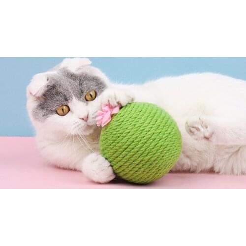 Pet Accessories Catnip Toy Cat Scratching Ball Toys Cactus Sisal Tumbler Kitten Toy Cats Interactive Toys With Catnips Supplies