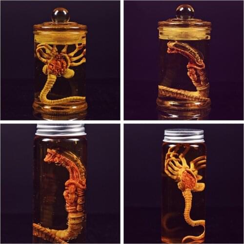 Fire Girl Toys FG029 Alien Contract Cultivation Tank High Transparent Glass Bottle For 12" Action Figure