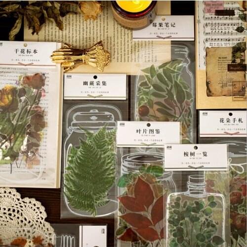 10sheets/pack PET stickers Botanical Research Institute hand DIY material decoration stickers white bottle sticker
