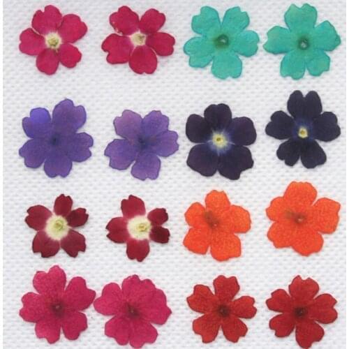 120pcs Pressed Dried Cherry Blossoms Flower Plants For Epoxy Resin Pendant Necklace Jewelry Making Up Face Craft DIY Accessories