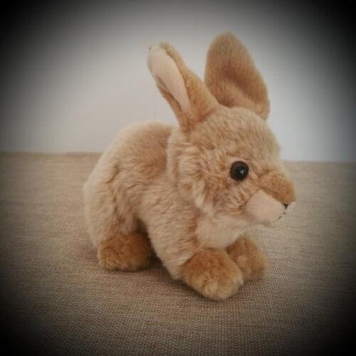 2019 Seated Little Tortoise Colour Rabbit Plush Toys Simulation Giant Squid Stuffed Toys Cute Animal Plush Dolls