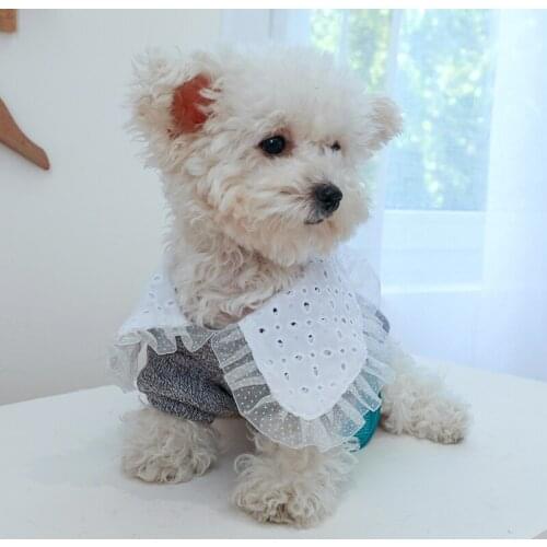 Big Lace Collar Pet Shirt Coat For Small Puppy Dogs Gray Outfit Cat Kitten Apparel Two Fee Vest Accessory Drop Shipping Products