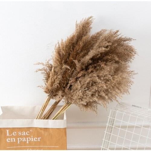 Simulation Of Reeds, Forest Wedding Flower Arrangement, Home Decoration, Immortal Flower Shooting Props, Dried Flower Reeds