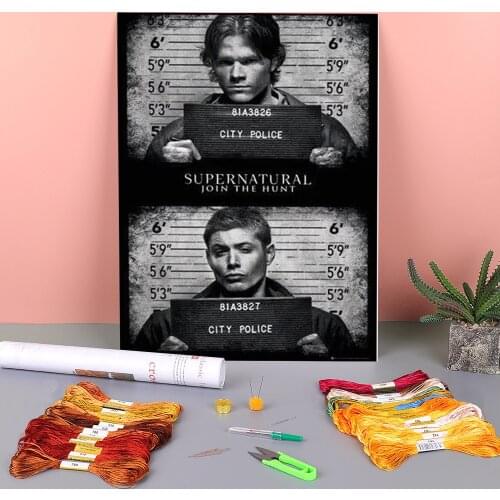 Supernatural Printed 11CT Cross-Stitch DIY Embroidery Kit DMC Threads Handicraft Craft Painting Needlework Promotions Decor
