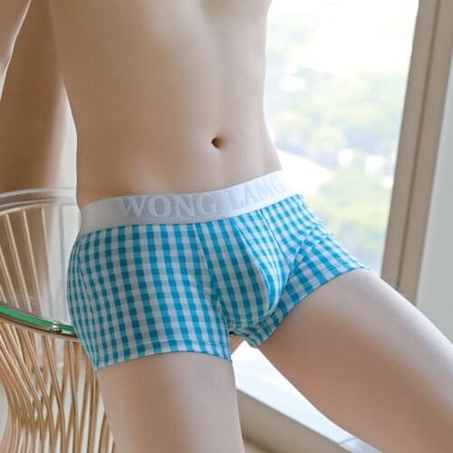 Mens Plaid Underwear Sexy Boxers Cotton Underpants Men Boxershorts Penis Pouch Trunks Underwear Breathable Shorts Hombre Cuecas