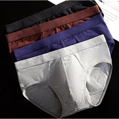 Mens Briefs Panties Men Cotton Underwear Briefs Breathable Cuecas Brief Panties for Men Sexy Underpants Shorts 4pcs\lot