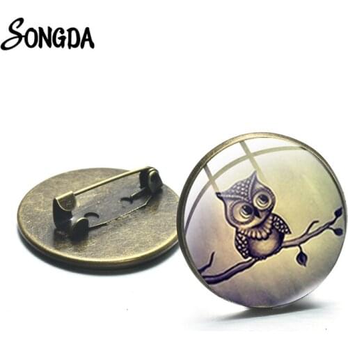 Cute Little Owl Brooch Cartoon Big Eyes Bird Vintage Photo Glass Dome Badges 25mm Pins for Women Jewelry Kids Christmas Goods