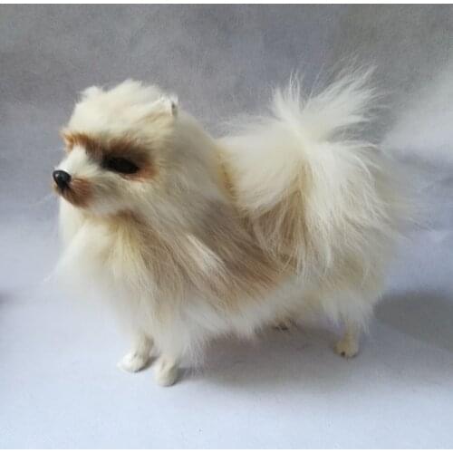 Real life toy white beige Pomeranian dog polyethylene&fur Pomeranian large 24x20cm model handicraft home decoration gift b1655