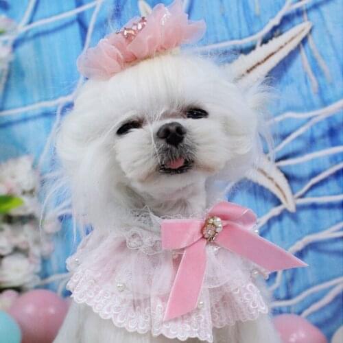 Dog Accessories Loyal Dog China