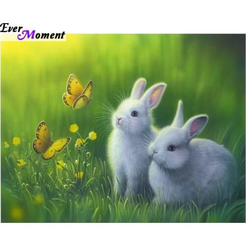 Diamond cross stitch crystal square diamond sets full square diy diamond painting animal diamond embroidery animal ASF143